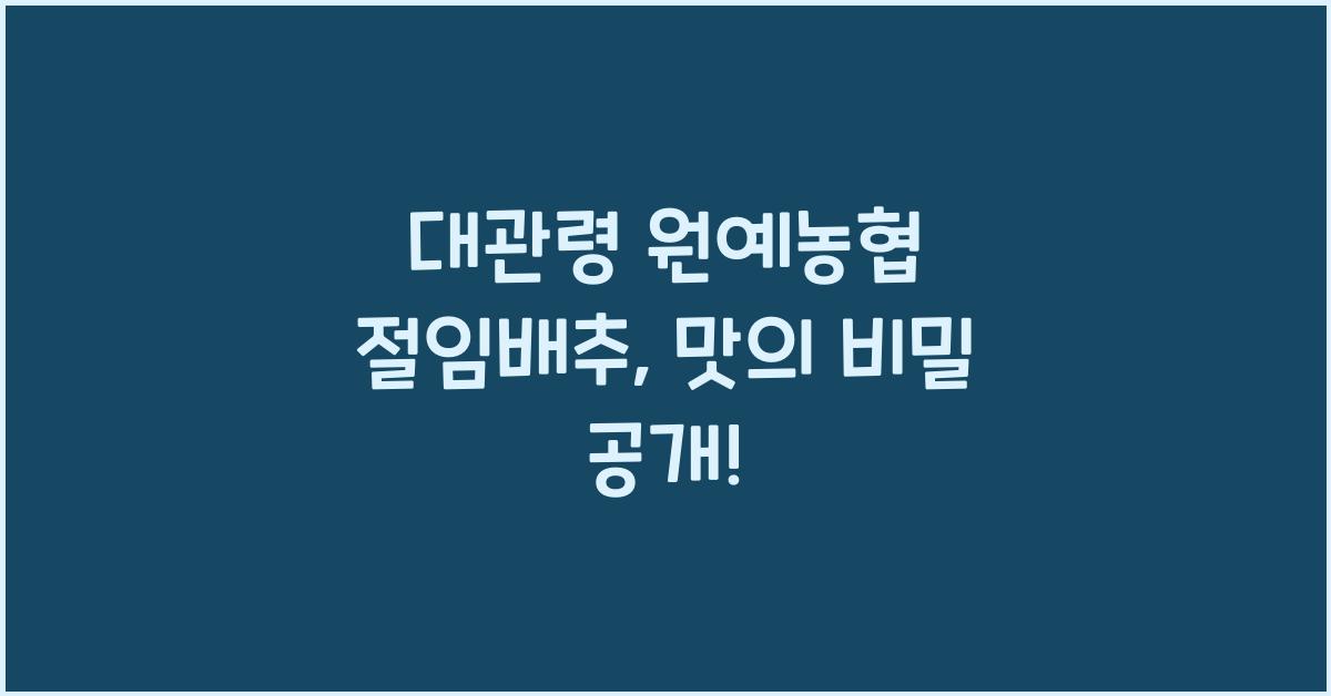 대관령 원예농협 절임배추