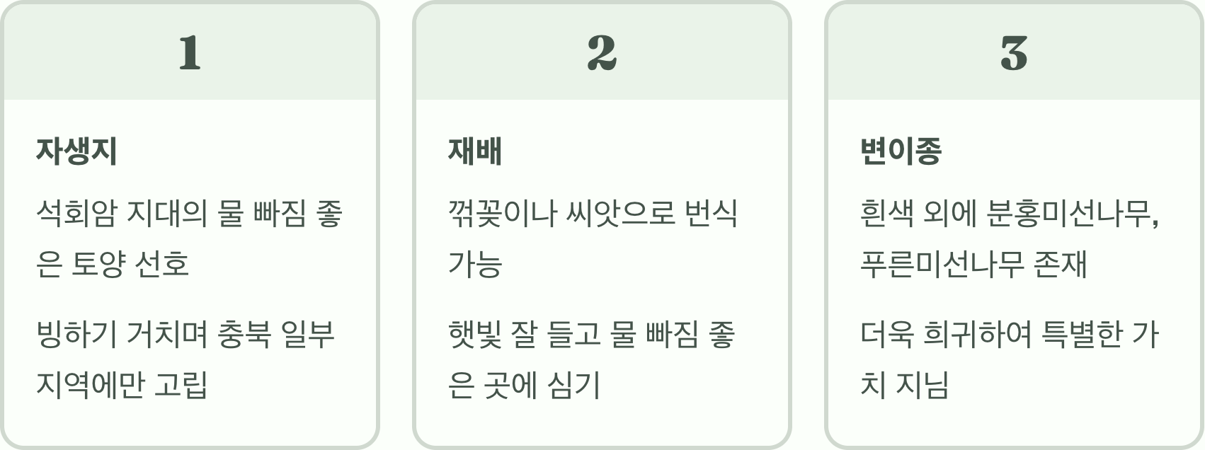 세계 유일 한국에만 자라는 나무, 미선나무를 아시나요?