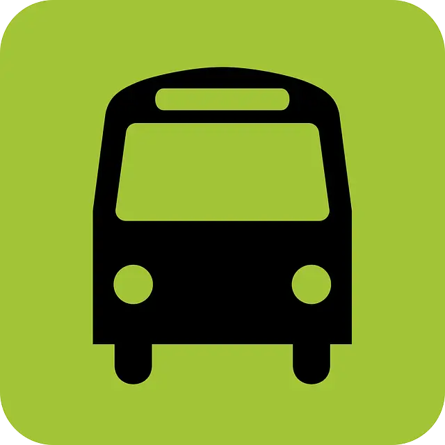 2025년 노인 운전면허 반납 혜택 총정리