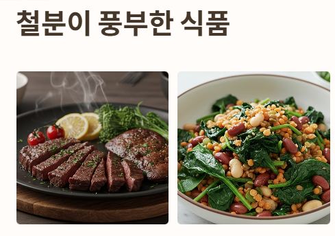 철분이 풍부한 음식