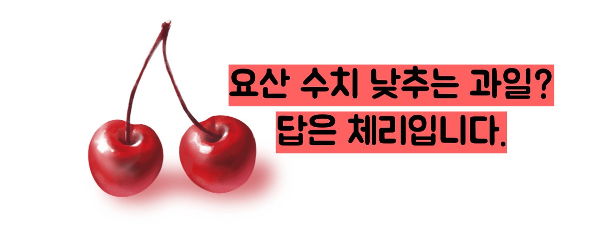 요산 정상수치