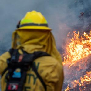 전력설비 관련주 대장주 테마주 TOP5 : 미국 산불