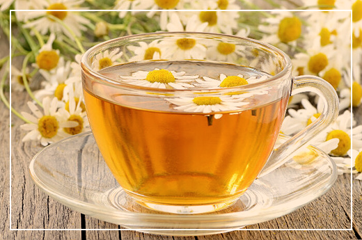 캐모마일_차