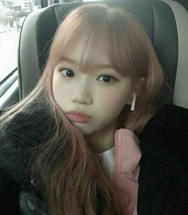 김채원 사진 모음