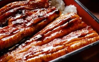 장어 효능 장어와 상극인 음식 건강 상식_16