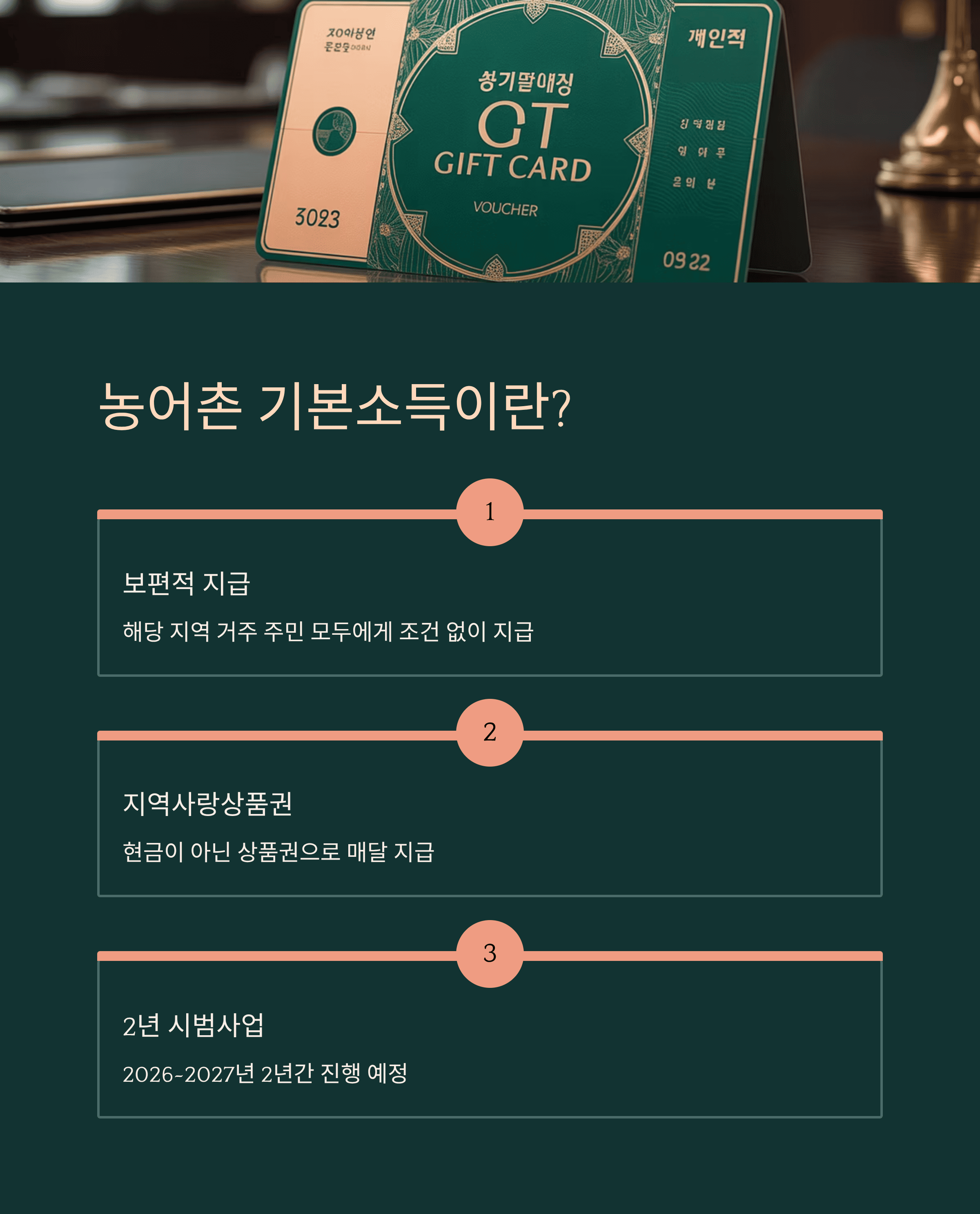 농어촌 기본 소득이란?