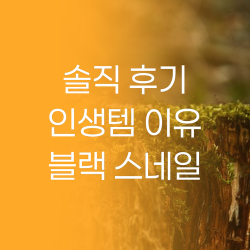 닥터지 블랙 스네일 크림, 왜 다들 