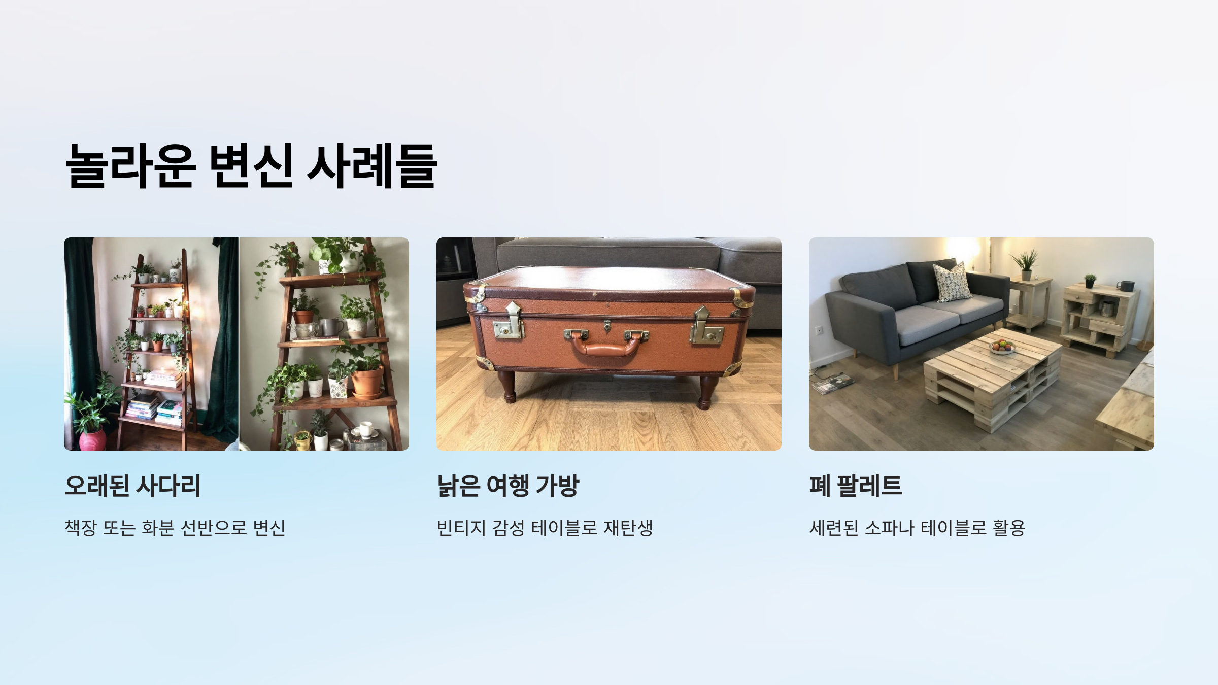 놀라운 변신 사례들