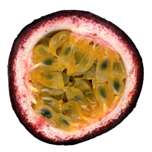 패션후르츠 단면