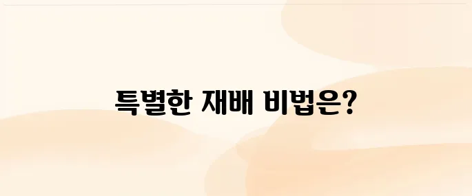 [텃밭 가이드] 공심채 키우는 방법, 초보자도 가능한 재배법