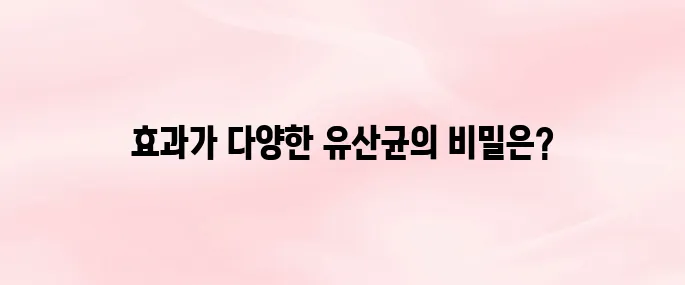 유산균 효능 8가지 알아보기