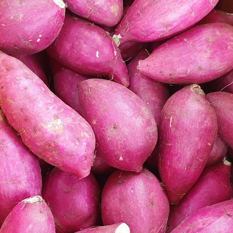 10월 다이어트에 좋은 제철음식 TOP5