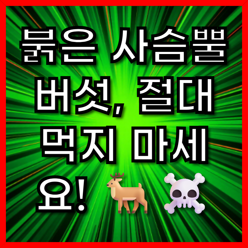 붉은 사슴뿔 버섯, 절대 먹지 마세요! 🦌☠️