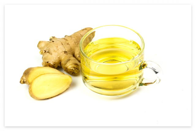 소화 촉진에 좋은 약초 5가지, 주요 효능과 활용법