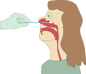 코 막힘 원인 뚫는 해결 방법