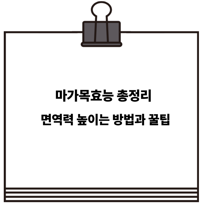마가목효능 총정리 면역력 높이는 방법과 꿀팁