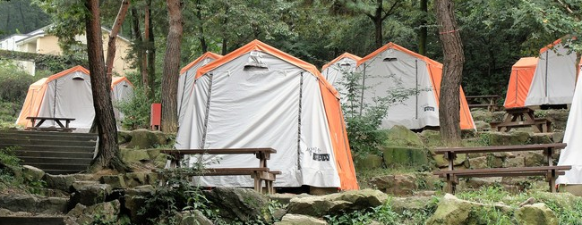 서울대공원 캠핑장1