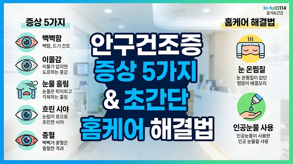 안구 건조증 증상