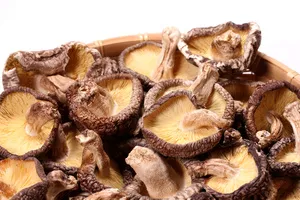 유방암에-좋은-음식