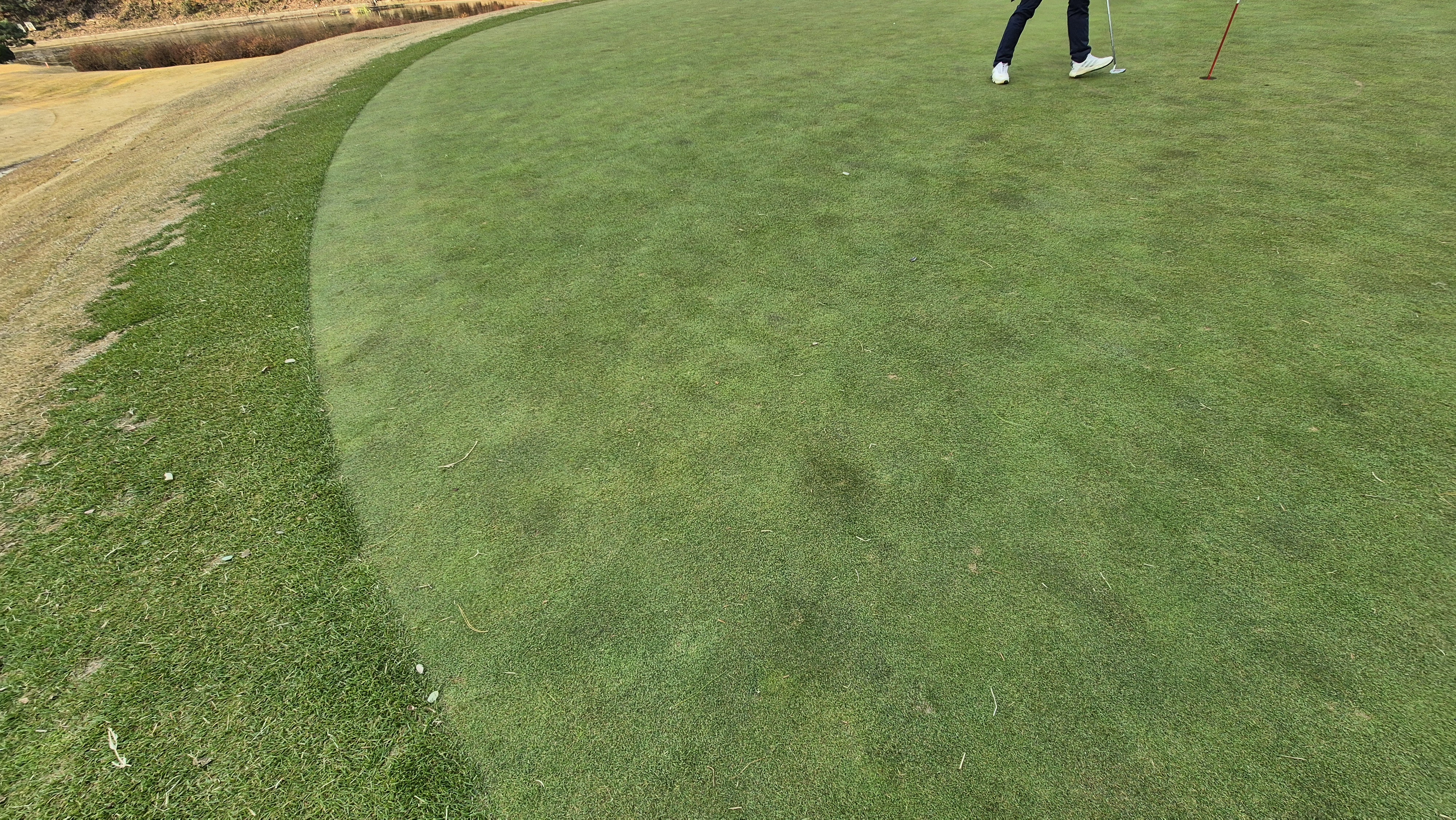 올데이 떼제베cc 가람-누리(서-남) 그린관리상태