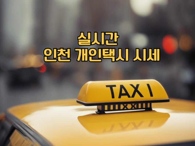 실시간 인천 개인택시 시세