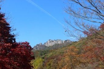 전남 내장산 단풍