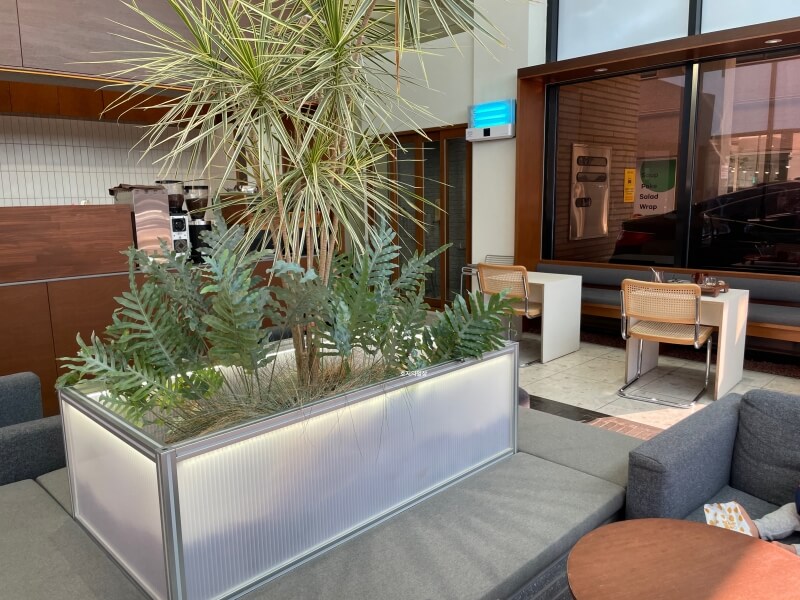 시흥 은계 지구 카페 미스티우드 - 매장 인테리어