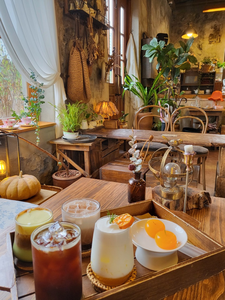 제주도 반려견 동반 맛집&amp;카페 : 동반 식당&amp;#44; 카페 추천