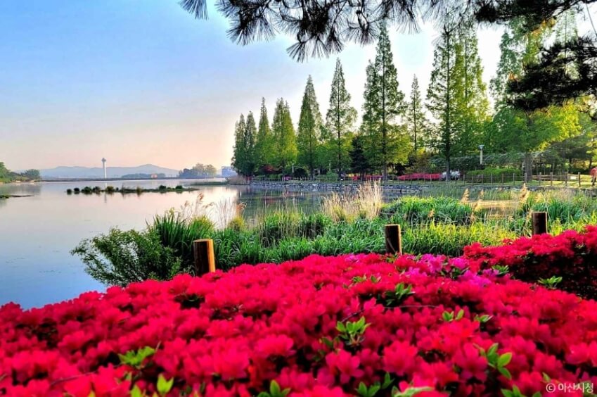 아산 가볼만한곳 베스트 10