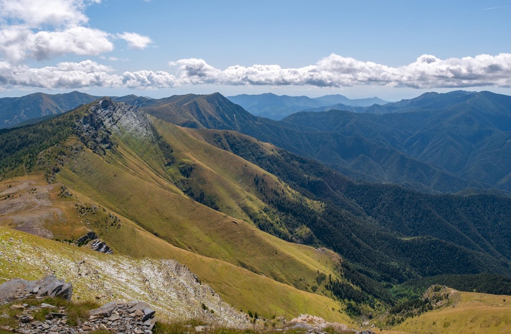 고산훈련관련 사진
