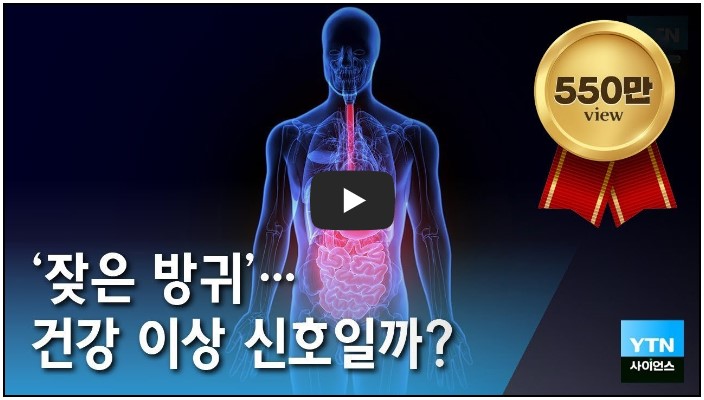 다큐멘터리 유튜버 순위 TOP 8 4