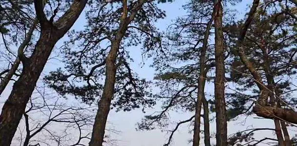 모충공원