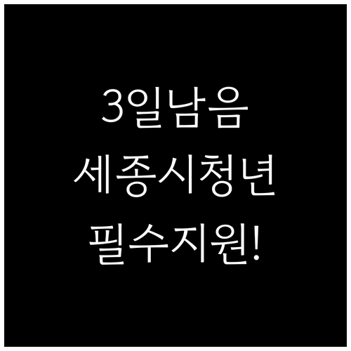 3월 사흘간 접수 마감, 세종시 청년..
