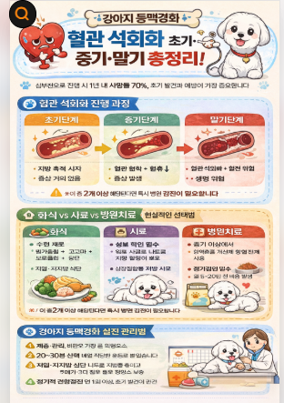 강아지 동맥경화 조기발견,수술치료시 완치 가능 합니다.(초기증상, 화식, 병원비, 혈관석회화 단계별 관리법)