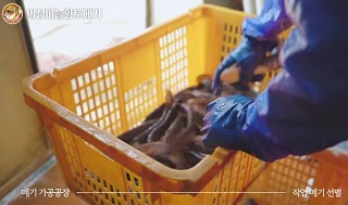 의성메기양식장