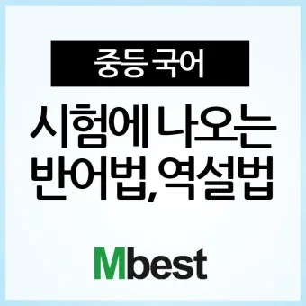 역설법 반어법 구분 사용 예시_21
