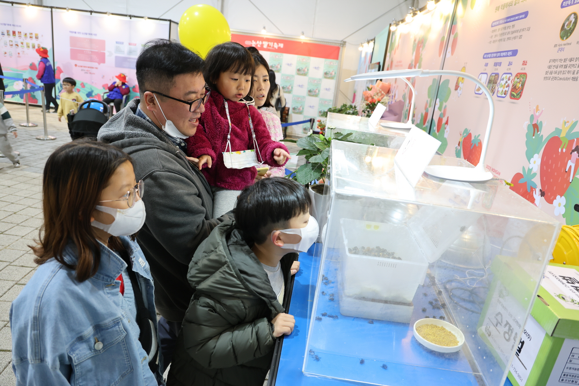 2025 논산딸기축제 : 일정, 체험, 가격, 볼거리, 주차까지 총정리!