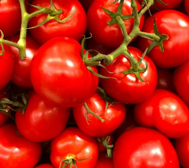 심장에 좋은 음식