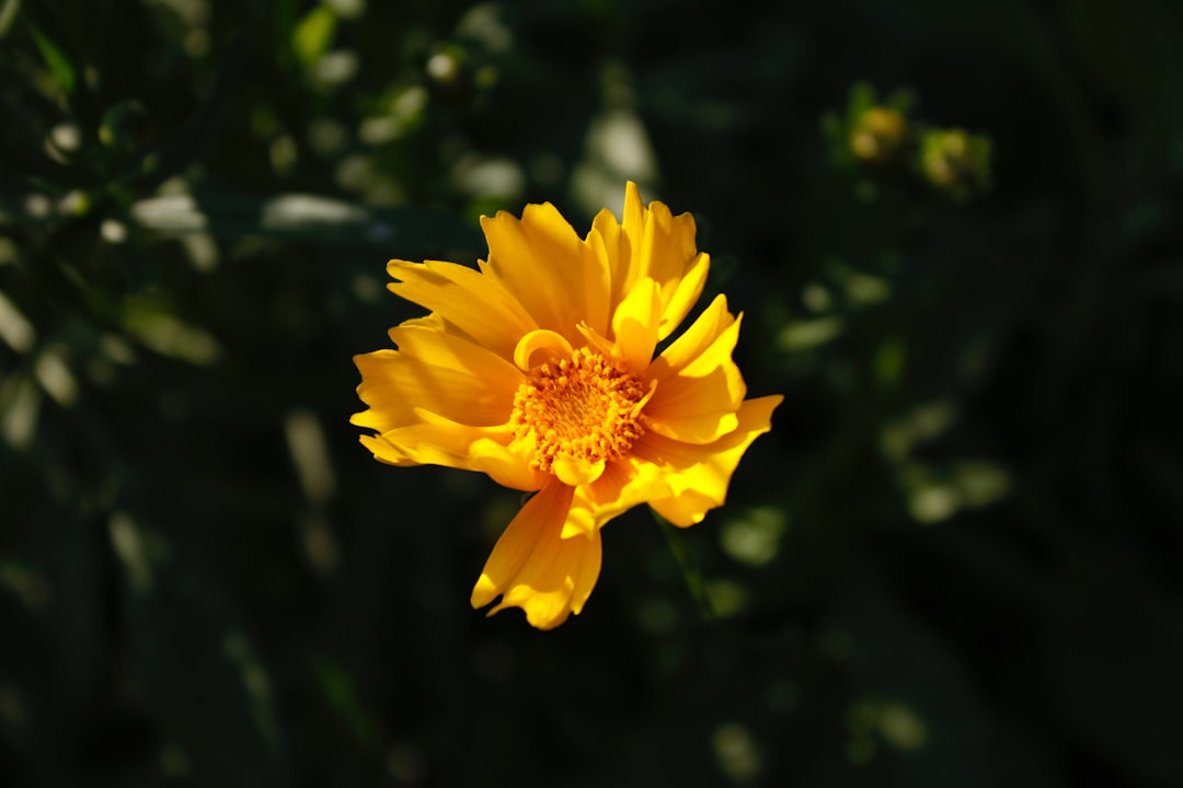 sunblock