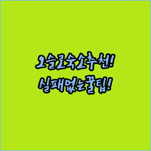 노르웨이 오슬로 여행 숙소 추천 TO..