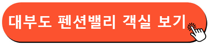 대부도 펜션 밸리