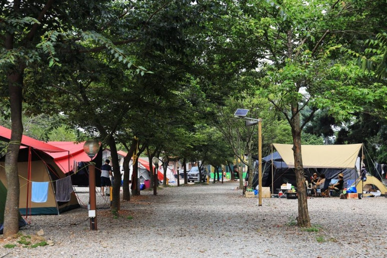 안산 대부도 인생 캠핑장, 추천 캠핑장