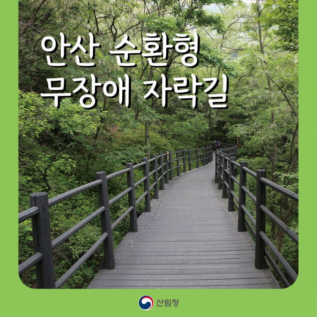 걷다 보면 치유된다! 안산 순환형 무장애 자락길 완전정복