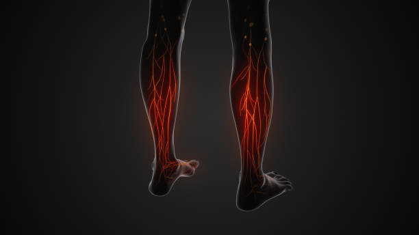 다리에 쥐나는 이유