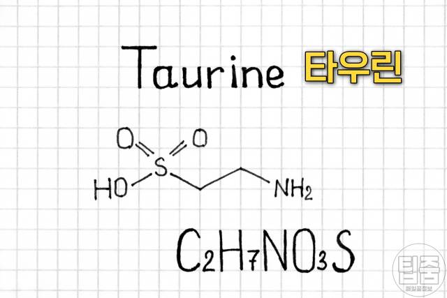 마른 오징어 하얀가루 타우린 마른오징어보관법