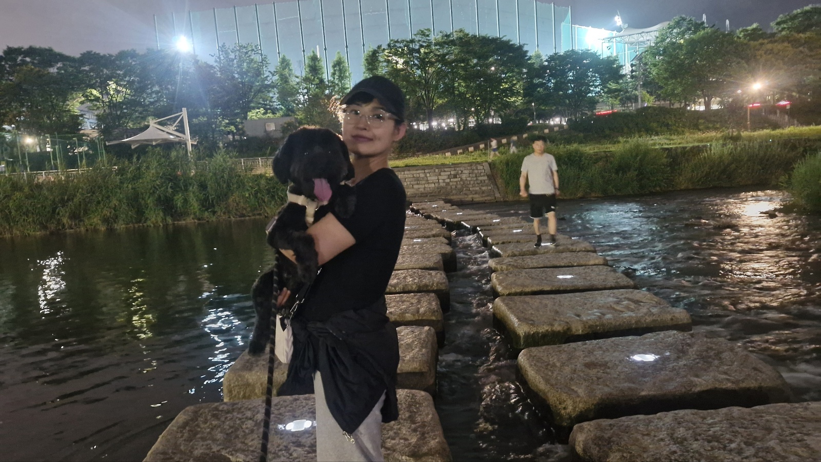 강아지 배변전 빙빙도는 이유 11가지