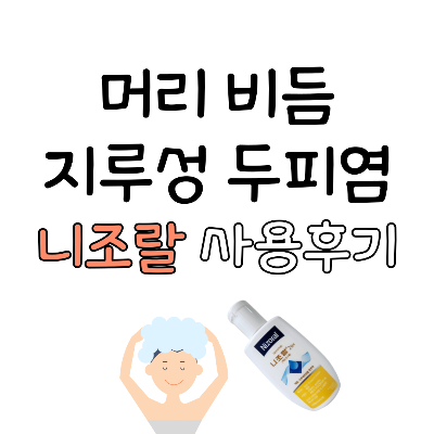 머리 비듬, 지루성 두피염 : 니조랄 샴푸 내돈내산 사용 후기