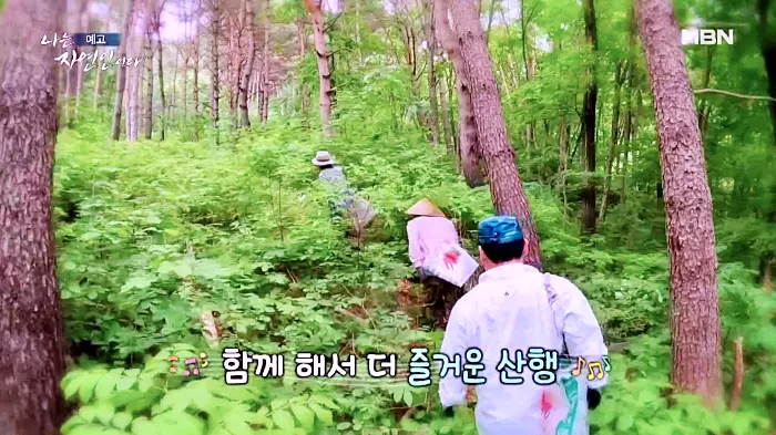나는 자연인이다 곤드레밥, 부추전, 텃밭 아스파라거스 미나리 삼겹살, 1200평 땅을 나눠 산골 생활, 이웃집 두 남자 자연인 권영팔, 김진식 소개 및 이승윤 출연 558회 다시보기