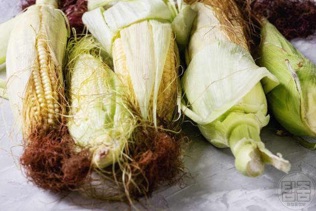 맛있는 옥수수 고르는법 수염