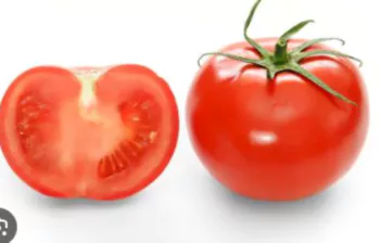 토마토1
